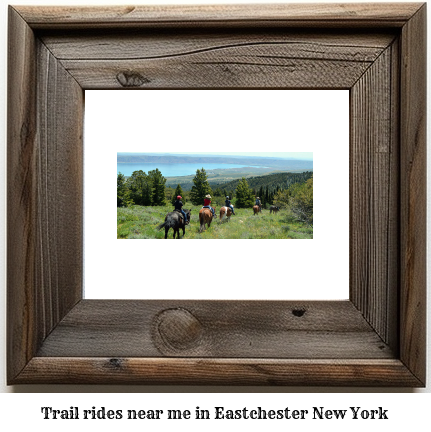 trail rides near me in Eastchester, New York